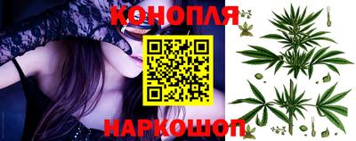 спиды Новозыбков