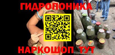 спиды Новозыбков