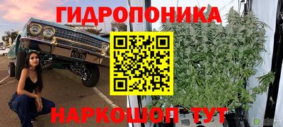 герыч Новодвинск