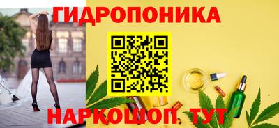 спиды Новозыбков
