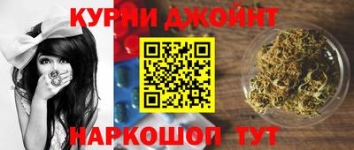 спиды Новозыбков