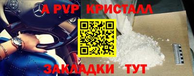 спиды Новозыбков