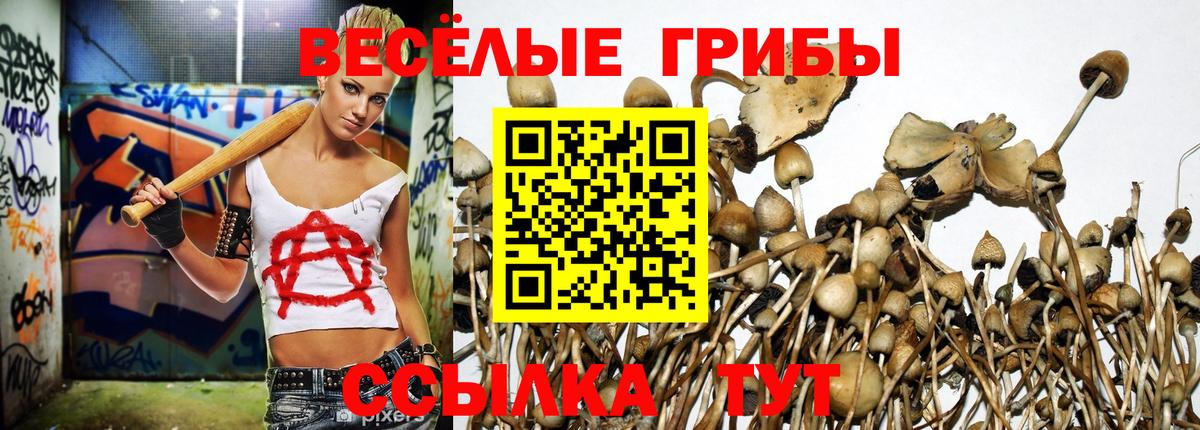 Псилоцибиновые грибы Psilocybine cubensis  Вход с VPN  Семёнов 