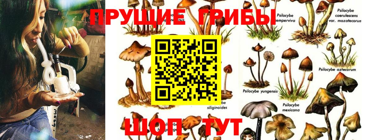 Галлюциногенные грибы Magic Shrooms Семёнов